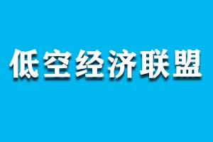 国内有哪些低空经济联盟？